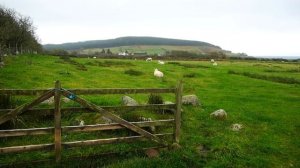 Пробую Шотландский Завтрак / Уникальный Ландшафт Эпохи Неолита / Шотландия #5