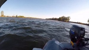 Осенняя ловля жереха с лодки, в прибрежной зоне