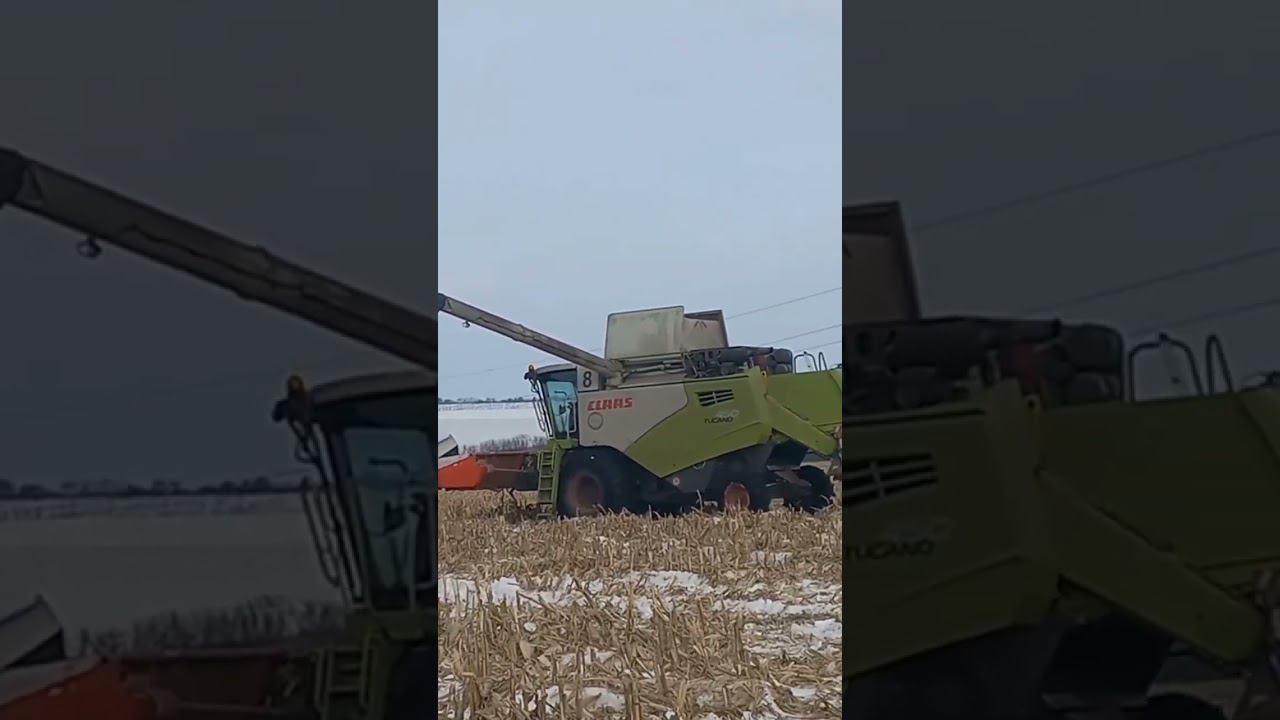 Зимняя уборка кукурузы Claas tucano 450 и Инженер по эксплуатации на L200.))) смотреть онлайн