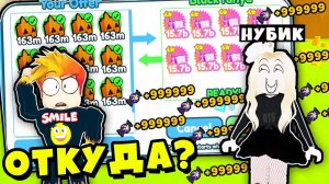 НАШЁЛ НУБИКА И ПОЛУЧИЛ ЧИТЕРСКИХ ТОП ПЕТОВ! Pet Simulator X Roblox