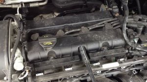 Шум двигателя Ford Focus II