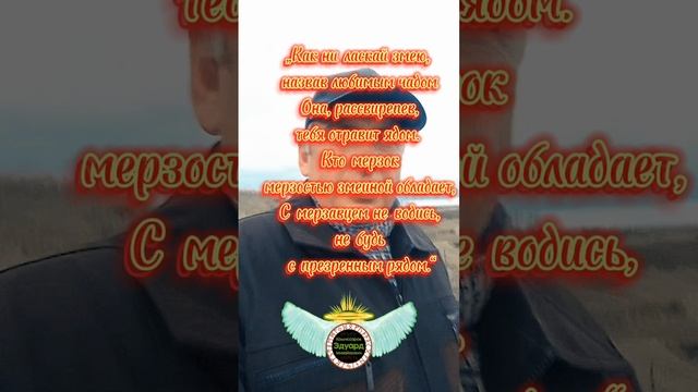 ✔ Комиссаров Эдуард Михайлович ? Как не ласкай змею назвав любимым чадом Цитаты про жизнь
