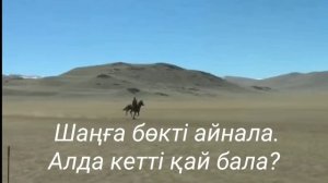 Төреғали Төреәлі ?БӘЙГЕ. Song of horse.? Песня скакуна ?. ( сөзі, текст, lyrics)