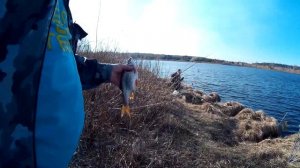 рыбалка на реке Жабня (присутствует не цензурные выражения)