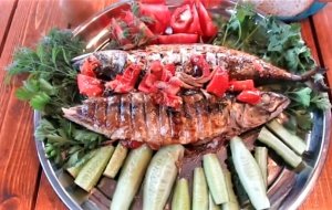 Скумбрия на гриле  Готовим РЫБУ на костре.