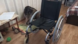 Кресло коляска с ручным приводом Старт\Обзор\Ottobock