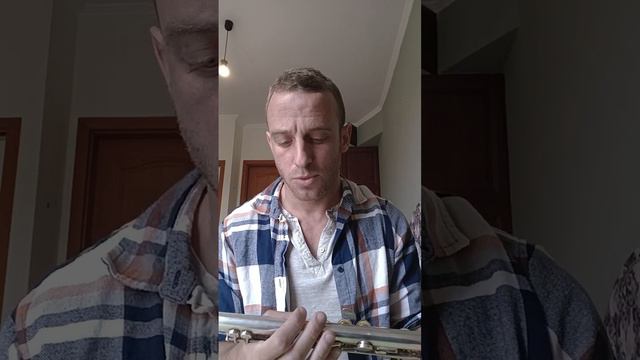 Trad. music on the Boehm flute смотреть онлайн