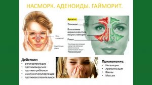 Вебинар  «Живой флаер – На зеленой волне  Туя»