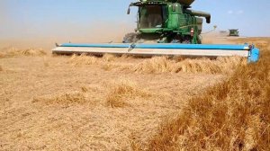 Уборка полеглого урожая жаткой SHELBOURNE