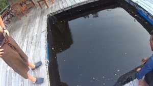 Паттайя. Куда поехать, что посмотреть самостоятельно? Развлечения рядом с храмом Истины.