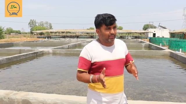 Biofloc fish farming, How to start biofloc fish farming ,profit training смотреть онлайн