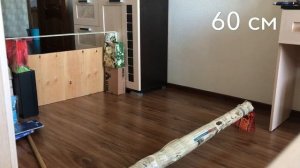 Конкурная тренировка кошек/60см/аджилити#конный влог?!
