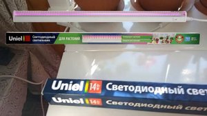 ЛУЧШИЙ СТЕЛЛАЖ ДЛЯ РАССАДЫ С ПОДСВЕТКОЙ.