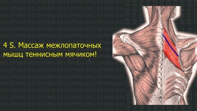 6 УПРАЖНЕНИЙ ПРИ СИДЯЧЕЙ РАБОТЕ | УПРАЖНЕНИЯ ДЛЯ СПИНЫ НА РАБОТЕ ✅ смотреть онлайн
