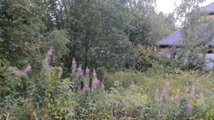 Продажа участка под строительство жилого дома Киевское шоссе, Валуево. 30 соток