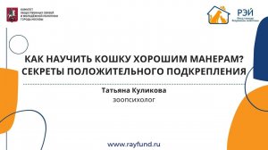 Как научить кошку хорошим манерам? Секреты положительного подкрепления