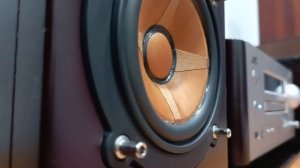 JVC EX-HR9 WOOD CONE