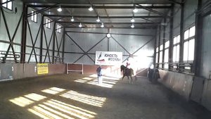 Кск Измайлово лошадь Карамель