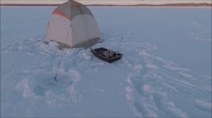 Ловим леща январь 2024 Псковская область