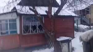 Купили старый дом.