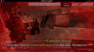 Decaying Winter гайд Immolator