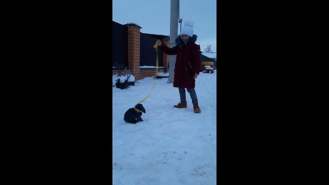 Да что мне все... Когда мои друзья со мной.