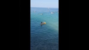 Море. Новомихайловский. Август 2023. Отдых 👨👩👦❤