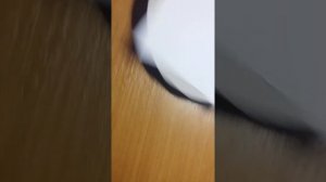 как ЛЕГКО рисовать разные завитушки