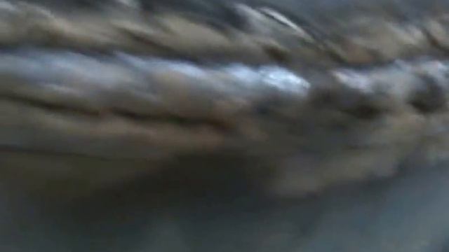 как сделать самодельный влагоотделитель для покраски