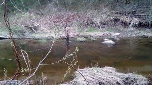 Рыбалка на реке Истра.