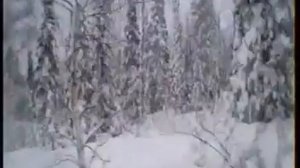 Как медведи в Шерегеше по лесу бродят :)