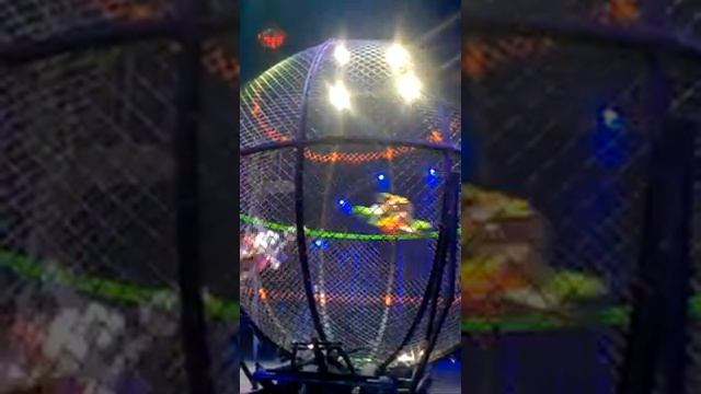 Цирк Демидовых Барнаул Колесо смерти 2 мотоциклиста смотреть онлайн