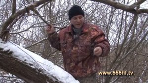 Установка капкана на норку.