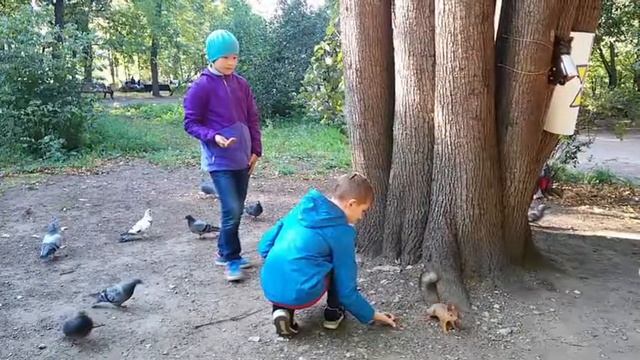 Осенняя акция "Покорми белочку" :) смотреть онлайн