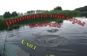 На какие воблеры - сходит крупная щука 13 - ого Августа