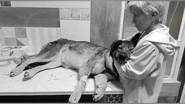 Химиотерапия для Лизы. Только это, и НЕРАВНОДУШИЕ людей спасут ей жизнь! смотреть онлайн