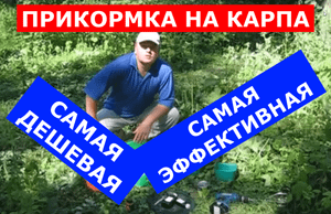 ПРИКОРМКА НА КАРПА. САМАЯ ДЕШЕВАЯ ПРИКОРМКА ДЛЯ КАРПА И ЭФФЕКТИВНАЯ . ЛОВИМ КАРПА ДЕШЕВО