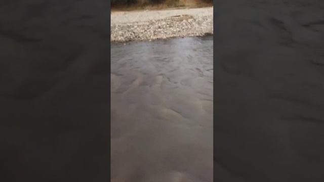 Река в Ачхой-Мартане смотреть онлайн