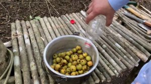 Компот из диких груш #чечня #горы #лес #bushcraft #survival