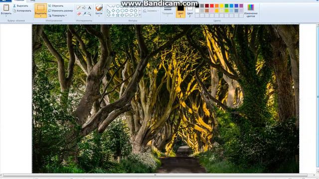 Што делать Если Триал Закончился смотреть онлайн