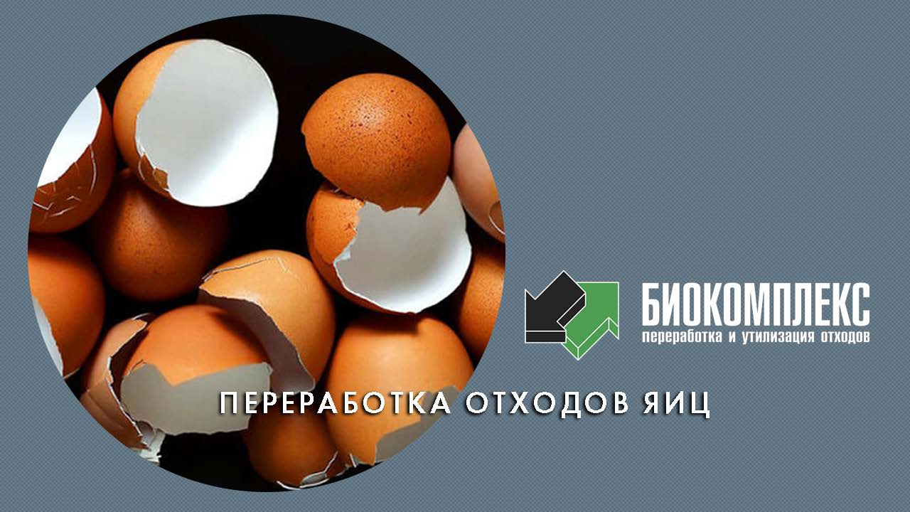 Переработка отходов яиц