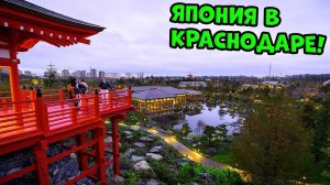 Уехал жить в Краснодар, гуляю в Парке Галицкого