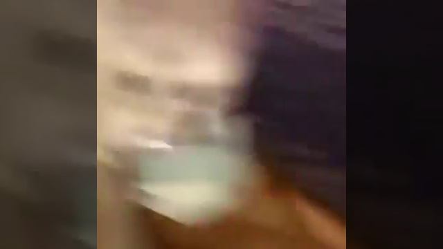 ПРИКОЛЫ С КОТАМИ,ОЧЕНЬ НАГЛЫЕ😂 смотреть онлайн