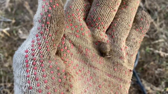 Первый Весенний коп этого сезона,не густо,но и не пусто.Поиск с Металлоискателем в Беларуси!!!!! смотреть онлайн