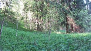 Место древнего поселения у выхода жилы голубой глины