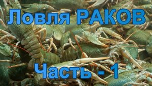Ловля раков. Часть - 1.