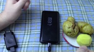 Как зарядить смартфон с помощью картофеля?