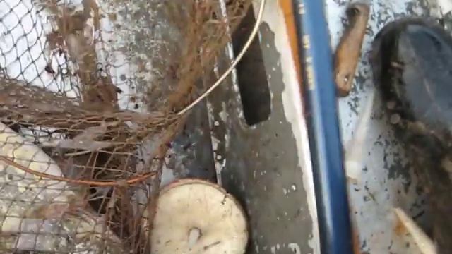 Утренний кофе на рыбалке смотреть онлайн