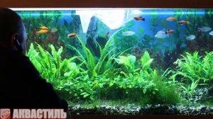 Аквариумистика Чистка стекла аквариума магнитом