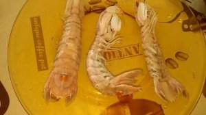 "Морской Богомол" (mazzancolle)